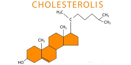 Cholesterol-structure-1